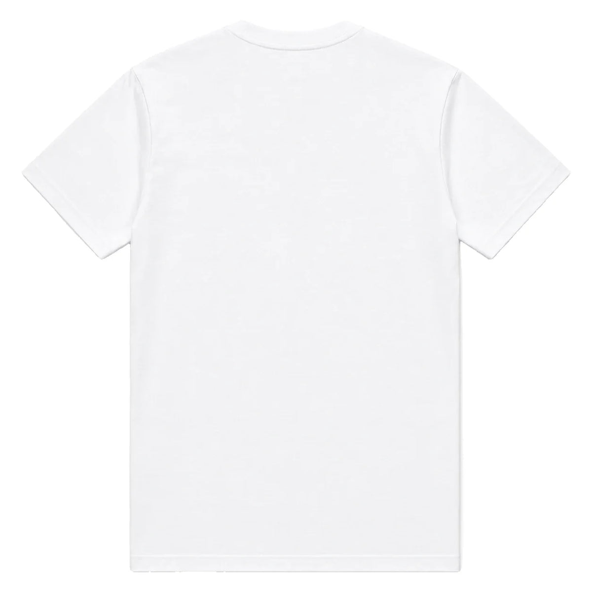 White plain cotton t-shirt, back view, blank print area