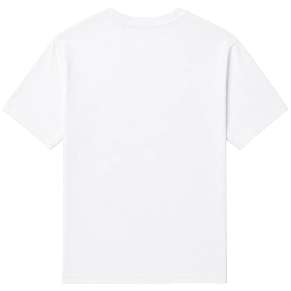 White relaxed tee, back view, blank print area